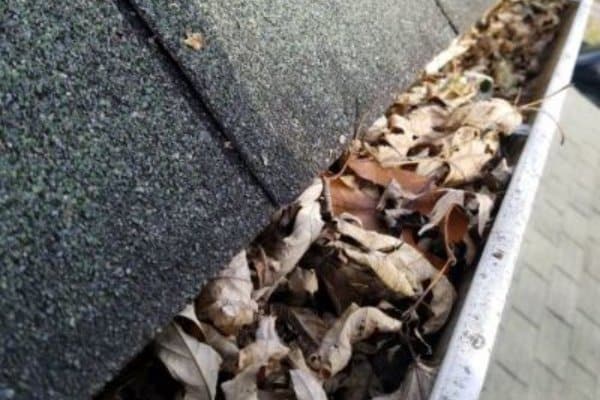 Before: A house gutter filled with dry, fallen leaves, next to a roof covered in asphalt shingles—highlighting the need for regular gutter cleaning.