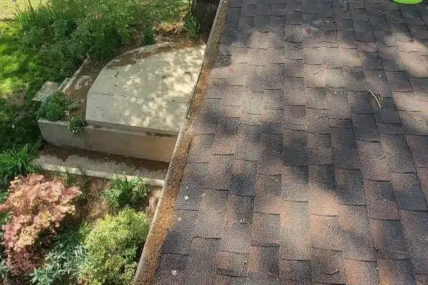 Before: View from above showing a sloped roof with shingles and a stone pathway surrounded by greenery and flowers.