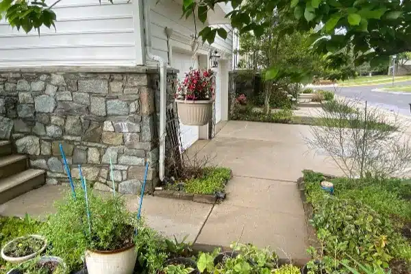 After: A landscaped walkway with a stone wall, potted plants, hanging flowers, and a view of the street.