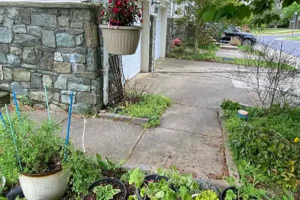 Before: A stone wall frames a walkway with potted plants and greenery, leading to a garage and a street view.